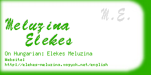 meluzina elekes business card
